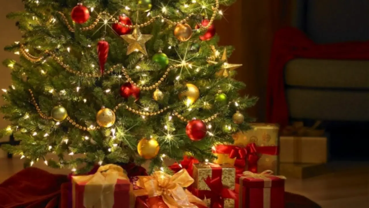 where to get cheap christmas trees