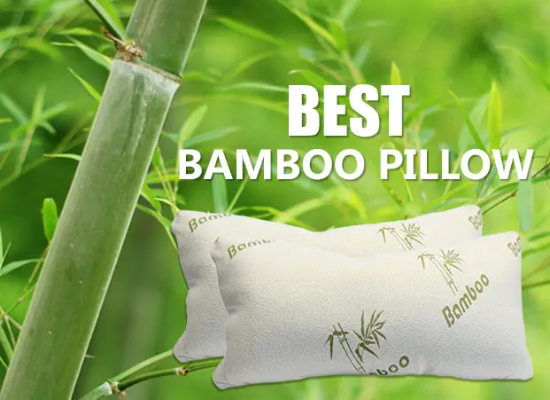 Bamboo Pillow Reviews