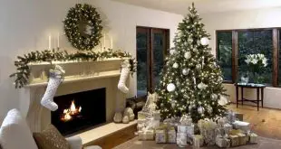 Best Christmas Tree