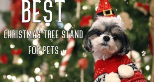 Best Christmas Tree Stand for Pets Reviews