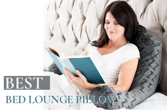 Bed Lounge Pillow Review