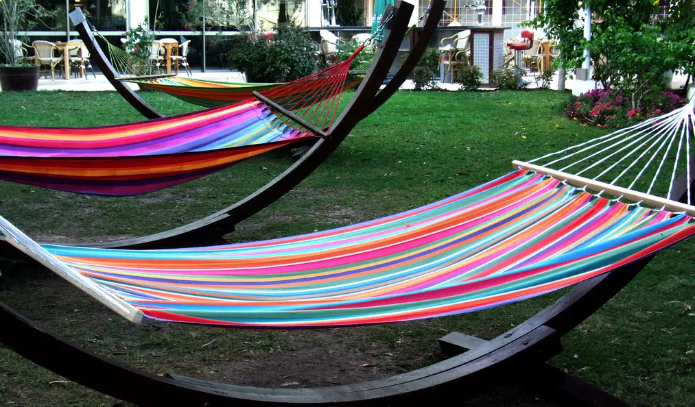 hammock in backyard