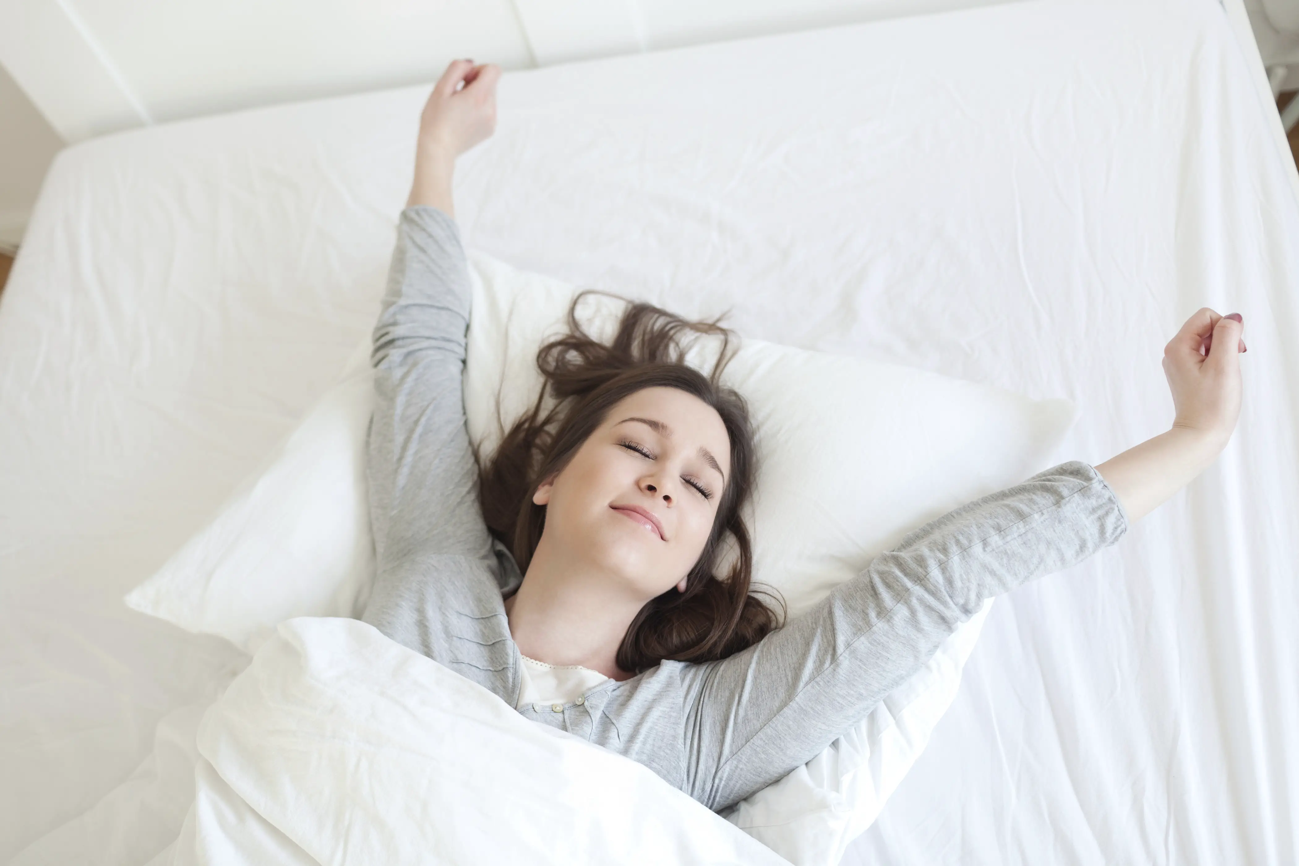 sleep comfort international mattress reviews