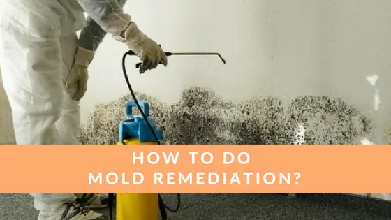 how to do mold remediation