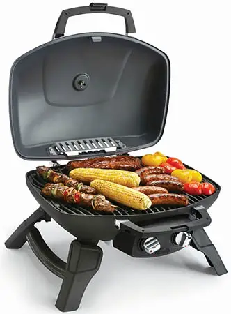 Portable gas grills