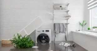 Why Water Damage Cleanup is Critical