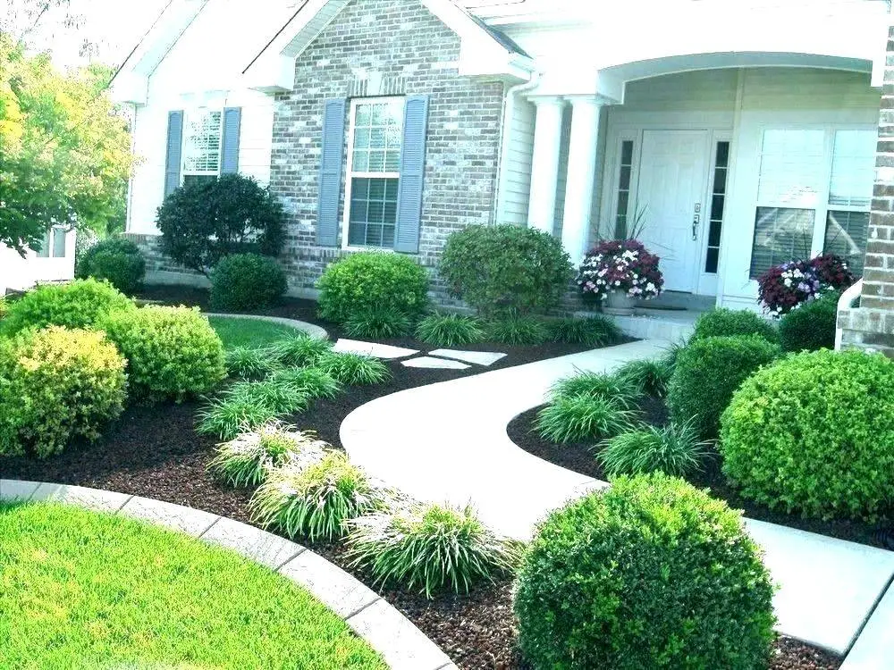 What is the best shrub for front of house? 
