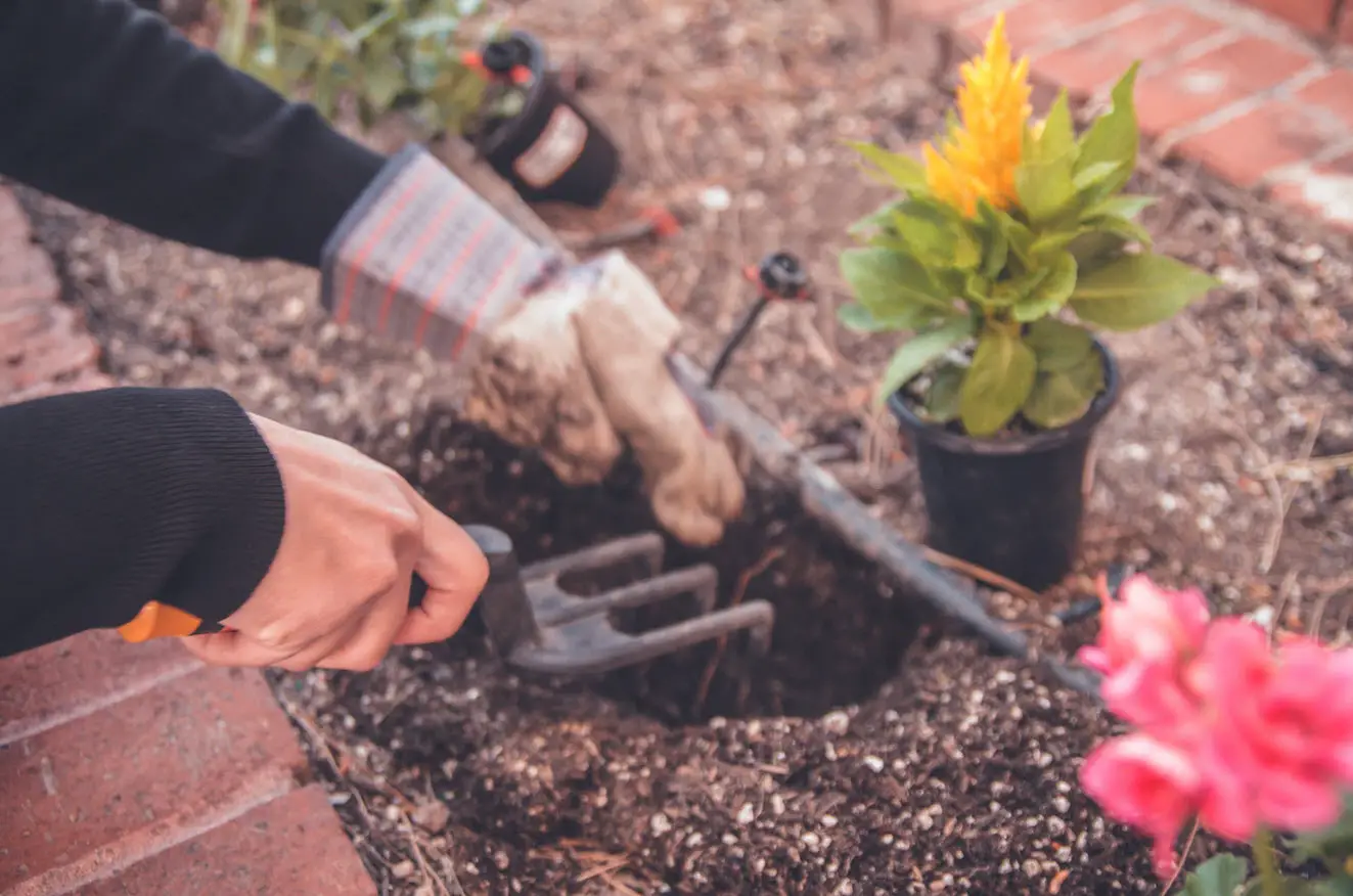 how to prepare garden for summer