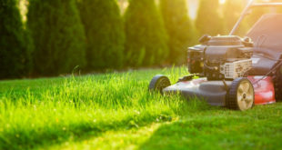 importance of lawn care