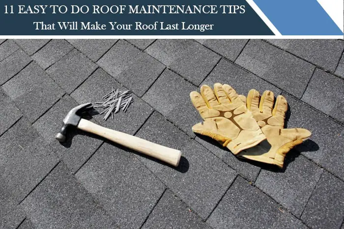 11 Easy to Do Roof Maintenance Tips
