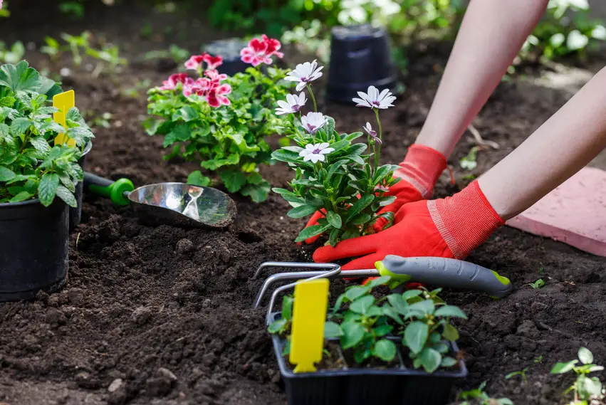 The 4 Ways Your Garden Can Make You Healthier - A Very Cozy Home
