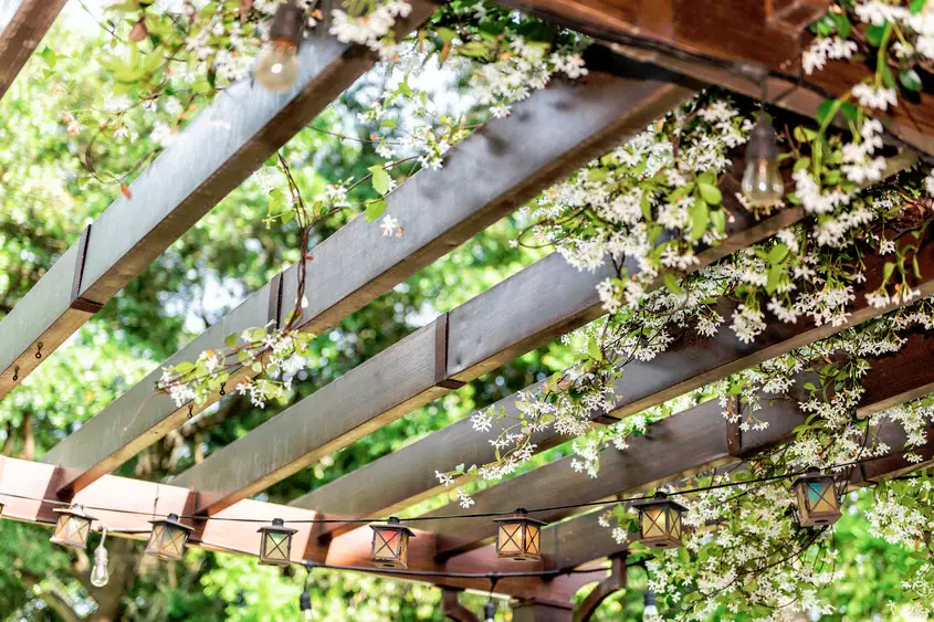 what is pergola used for