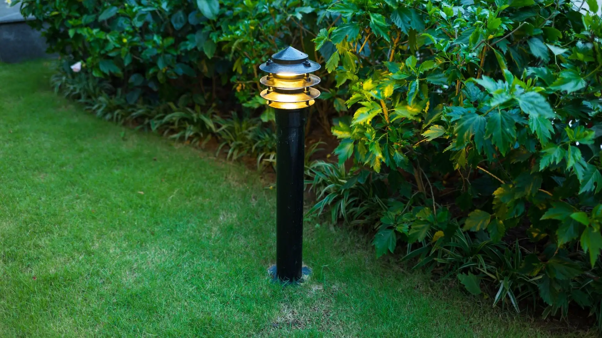 Which bulbs should you have for your outdoor lighting?