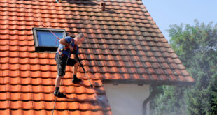 Roof Cleaning guide