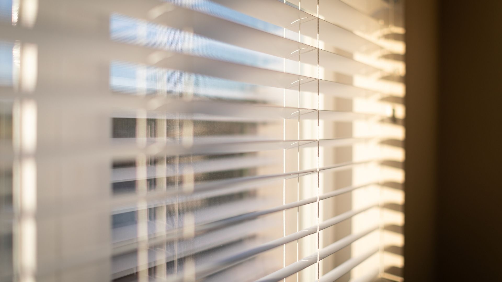 Blinds come in many types and styles as well