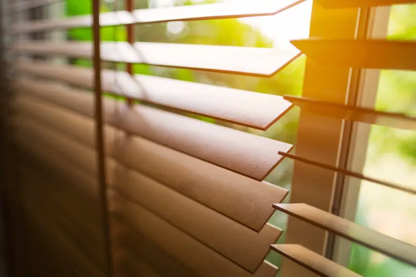 Shutters vs Blinds Which Is Better
