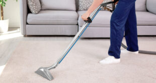 Are Professional Carpet Cleaners a Waste of Money