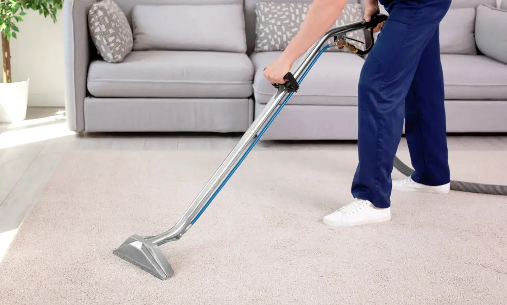 Are Professional Carpet Cleaners a Waste of Money