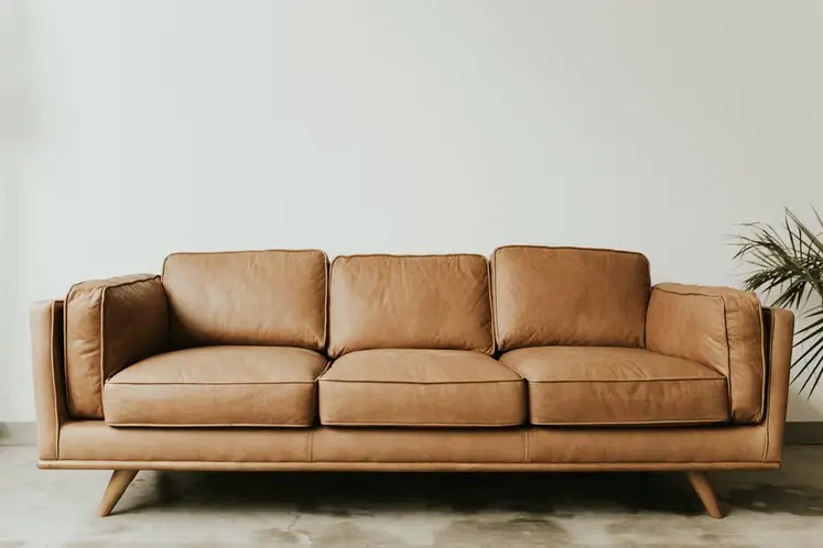 how to Successfully Steam Cleaning Upholstery