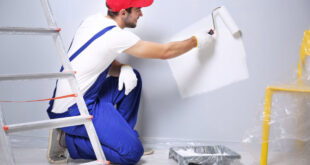 How To Choose Painters In Tampa