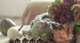 What to Consider When Setting Up Home Decors for Different Seasons